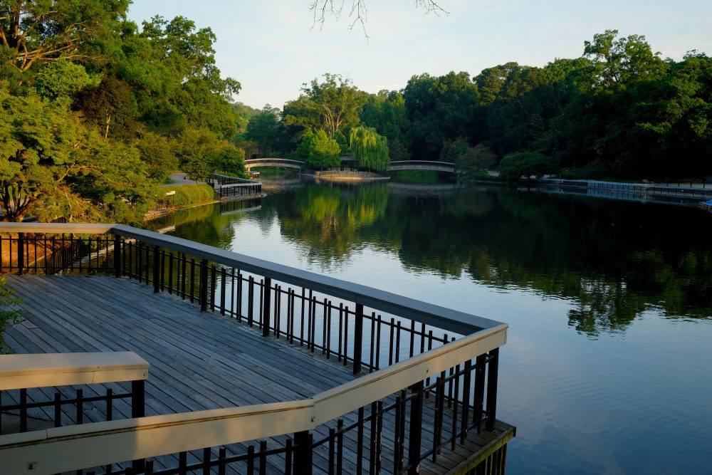 Pullen Park Raleigh, NC