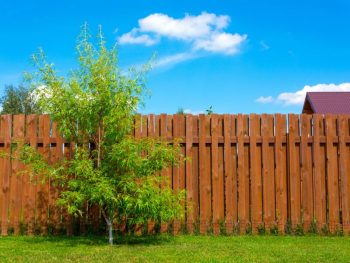 Fence Installation Near Me Winston Salem Nc