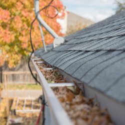 Fall Roof Maintenance Nc