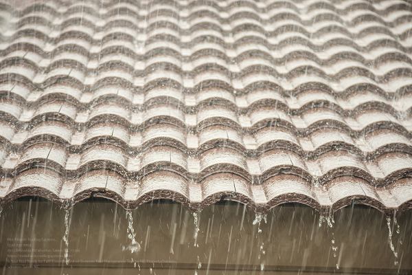Fall Roof Maintenance Near Me Nc