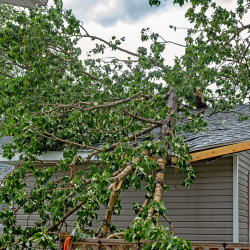 storm damage roof repair NC